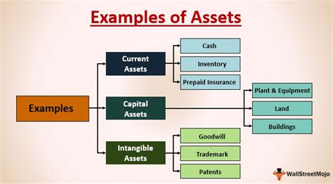 examples of assets.